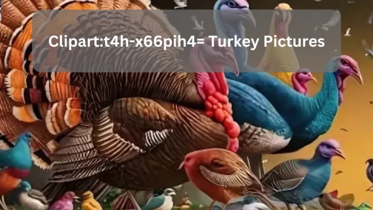 Clipart:t4h-x66pih4= Turkey Pictures