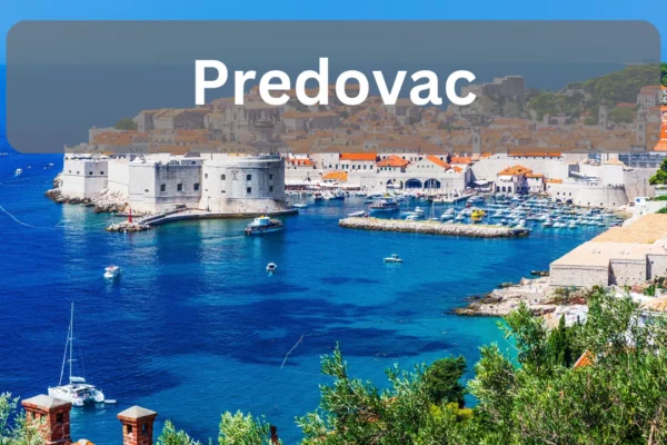 Predovac