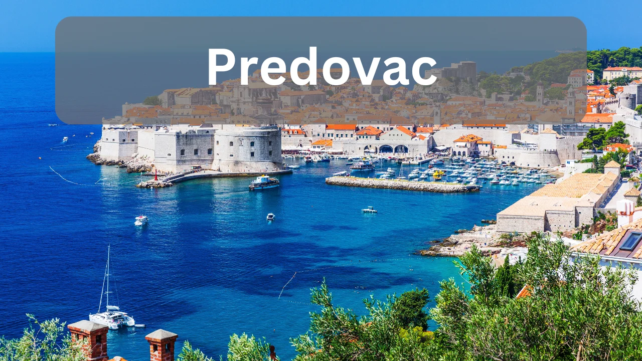 Predovac