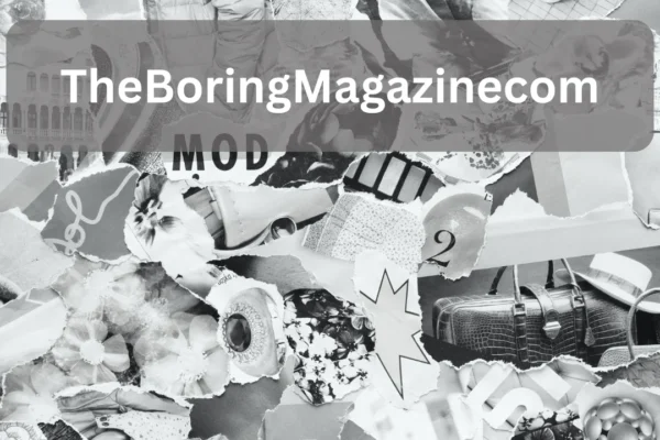 TheBoringMagazinecom