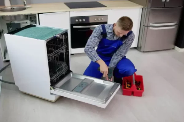 Common Challenges in Appliance Repairs